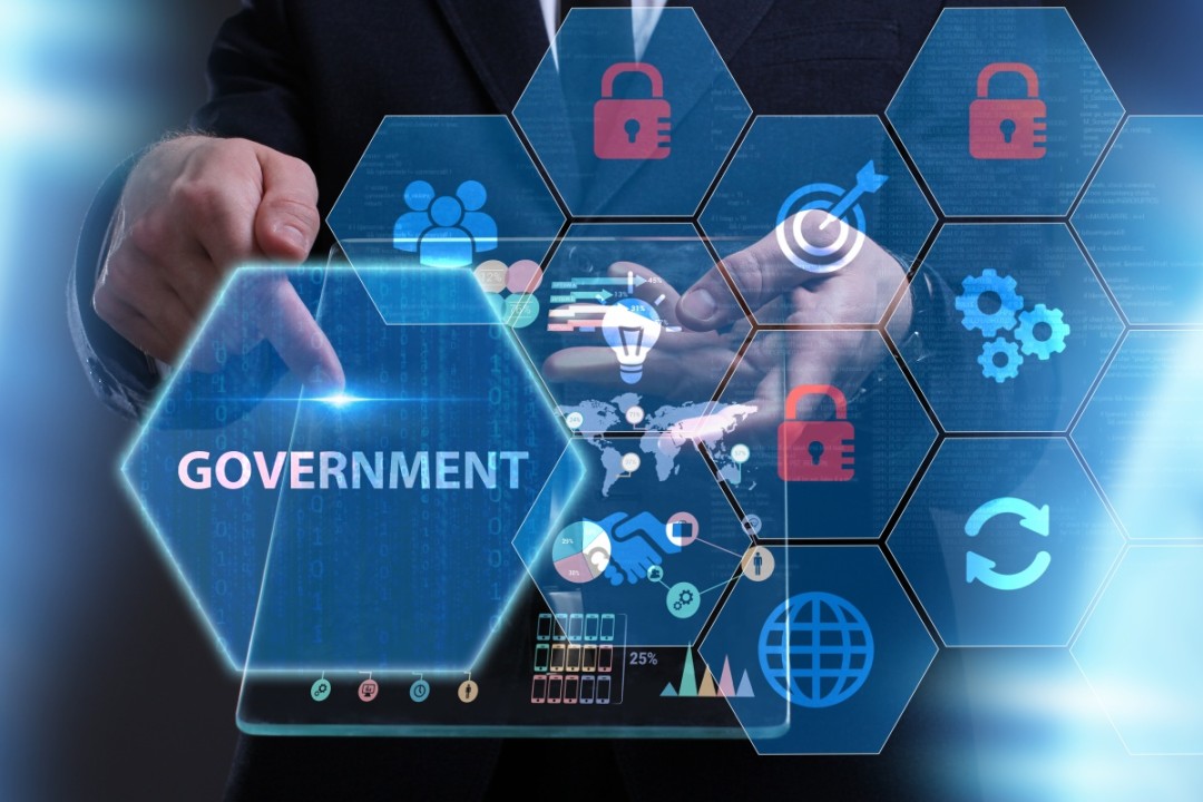 Government